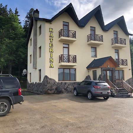 Katerina Bed & Breakfast Bakuriani Dış mekan fotoğraf